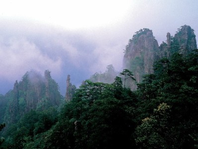 羊小咩提额需要多久？这3大因素+富信掌柜辅助或能加速