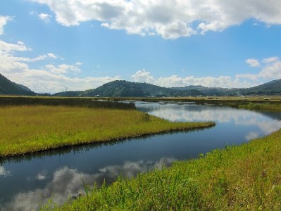 中山白条取现需谨慎！合规平台"出财小神"教你避坑指南