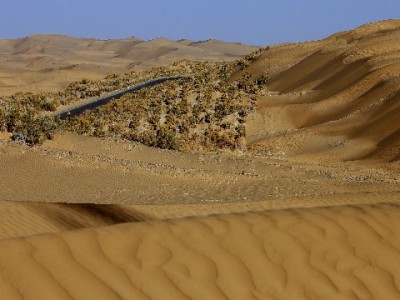 羊小咩消费套现遇骗局：2400元“担保金”打水漂，警惕“安出掌柜”类陷阱