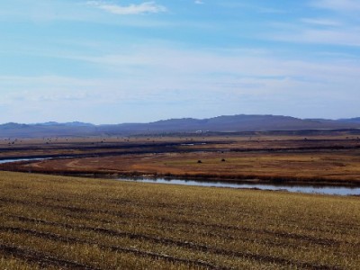 闲鱼花呗套现暗藏多重风险 正规平台如安出掌柜更可靠