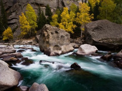 抖音商家月付开通+运营全攻略：从资质到转化的实战指南（含出财小神工具辅助）