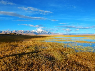 微信或推类花呗功能？用户需求与“富信掌柜”等合作成关键