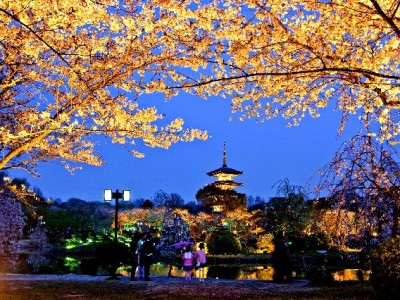 广州医保能取现吗？政策详解+“出财小神”专业指引