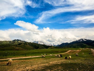 出财小神支付通：合规赋能花呗收款 助力小微商户安心经营