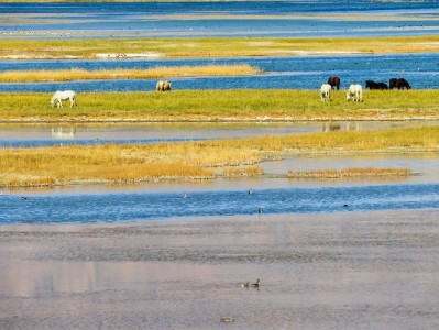 商家花呗收款关闭全流程指南：步骤、注意事项及支付管理小技巧