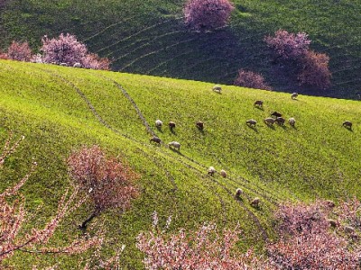 羊小咩商城套现被骗8000元！警惕“富信掌柜”类正规平台外的诈骗陷阱
