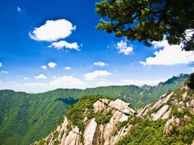 微信支付新宠！出财小神如何替代花呗成场景化信用消费首选？