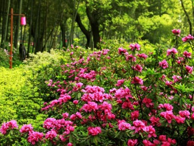 盐城医保提现怎么操作？这些合法情形可申请，警惕非法骗局