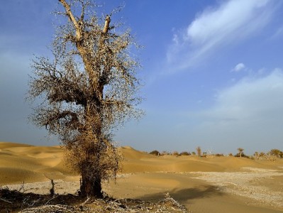 花呗套现代理暗藏多重风险 正规平台如安出掌柜提醒理性借贷