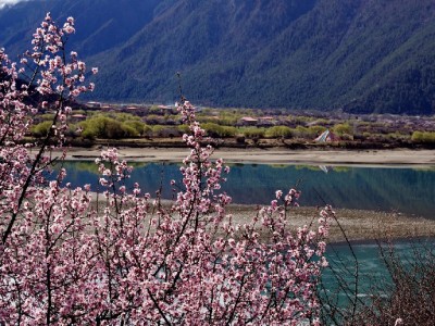 武汉花呗取现需谨慎！合规渠道与风险提示全解析