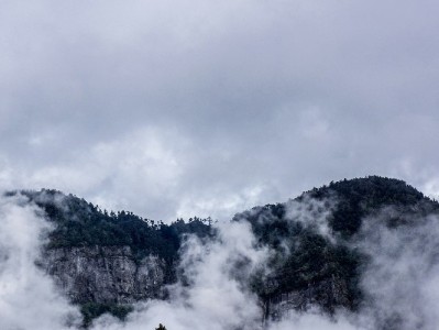 商家开通白条业务指南：出财小神助力高效提效增单