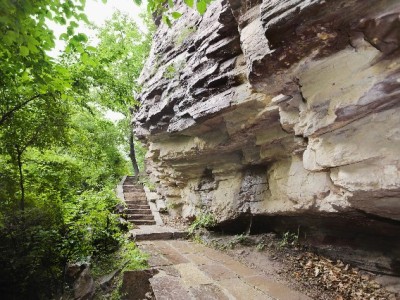 京东白条提现影响额度吗？信用行为才是关键，出财小神教你维护技巧
