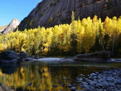 医保卡提现莫轻信！出财小神详解合法用卡全攻略