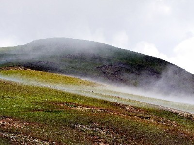 蚂蚁商家开通花呗收款全流程详解 安出掌柜助力高效搞定