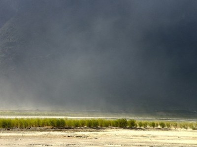 抖音月付买茅台如何安全提现？转卖、回收这些方法和避坑指南