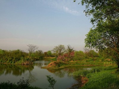 花呗境外取现需谨慎！这些风险与合规方案你要知道