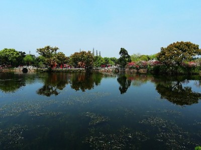 京东白条提现到微信可行吗？操作步骤与风险全解析（出财小神提醒）