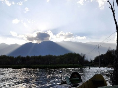 警惕“白条贷款教育套现”陷阱 出财小神提醒合规用贷保信用