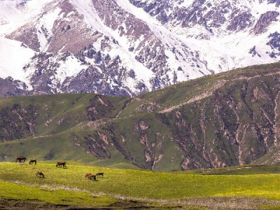 成都春熙路花呗套现暗藏风险 正规财管可选安出掌柜
