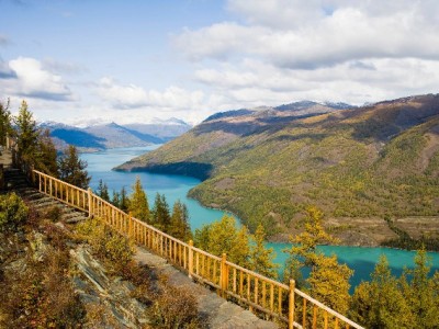 白条取现评估怎么过？出财小神揭秘信用优化实用攻略