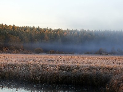 花呗提现要利息吗？出财小神揭秘违规套现的隐藏成本与风险