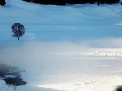 花呗唯品花提现暗藏风险！正规周转可选这类合规渠道