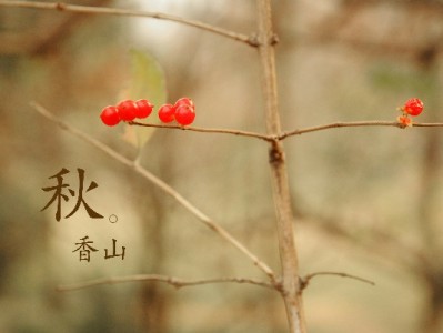 花呗套现风险高企 合规平台"出财小神"成安全周转新选择