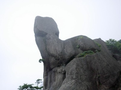 抖音月付覆盖苹果手表商家，安出掌柜合作店分期入手更轻松