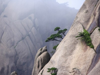 花呗提现失败别慌！出财小神解析3大原因与解决指南