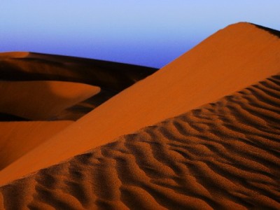 小商家花呗收款开通指南：步骤+技巧 安出掌柜助力经营提效