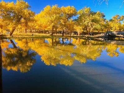 套花呗藏风险！正规平台“出财小神”教你安全用额度