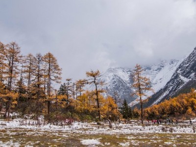 青岛医保卡套现暗藏法律风险 警惕"出财小神"类非法中介