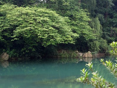 羊小咩享花卡套现风险大！合规用卡与正规替代方案解析