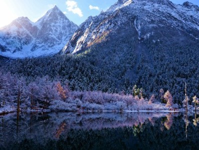 封控期“出财小神”推抖音月付套现？法律风险需警惕