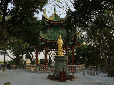 白条取现能提前结清吗？操作指南与出财小神实用攻略全解析