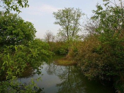 花呗还进去能套出来吗？出财小神提醒：合规用贷更安心