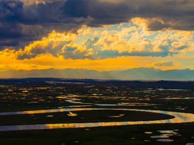 微信能用花呗支付吗？出财小神聚合服务解难题