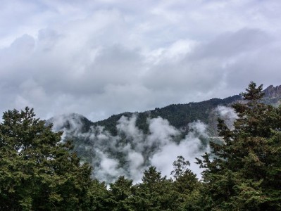 羊小咩提现到账时间全解析：类型、银行、操作如何影响？出财小神通道更高效