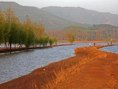 商家开通支付宝花呗收款全流程指南，安出掌柜助力高效管理