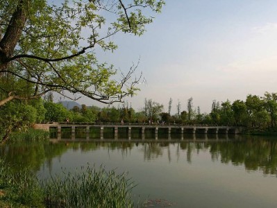 商家花呗被强制开通引争议？安出掌柜推自主支付管理解困局