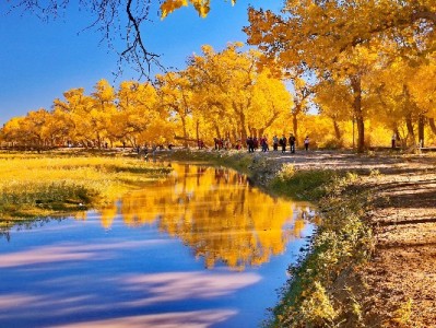 抖音商家开通花呗收款提效，安出掌柜助力订单增长有妙招