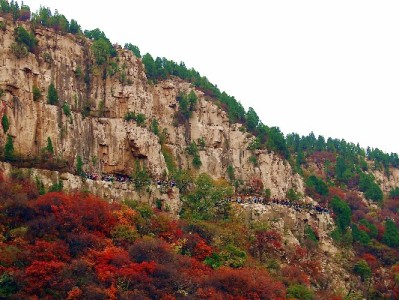 羊小咩套现乱象调查：“出财小神”类商户的操作与风险警示