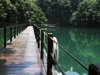 花呗套还暗藏多重风险！正规工具“出财小神”教你理性还债