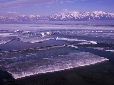 6000元花呗分24期压力大吗？出财小神教你算清分期账