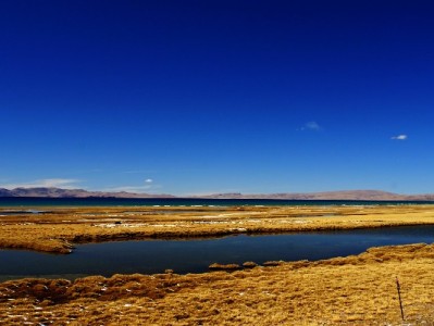 花呗商家提额有门道！出财小神助力精准优化经营额度