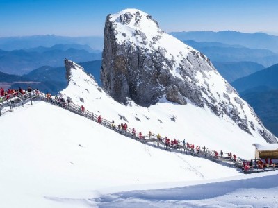 微信找花呗总迷路？出财小神教你正确查用与信用管理