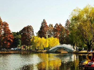 小额应急不用慌！变现白条200+出财小神10分钟解燃眉急