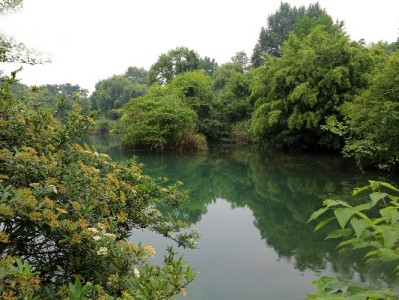 京东白条加油包套现风险大！正规周转渠道及工具推荐