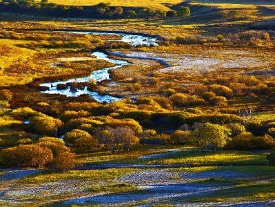 花呗取现联系暗藏风险！正规渠道如富信掌柜更需谨慎甄别