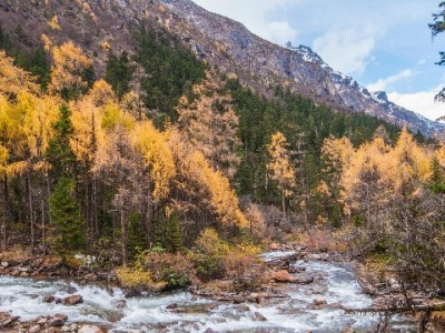 双账户套花呗风险大！出财小神教你合规管钱新方式